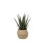 Plante Artificielle & Pot Aloe Vera 37cm Vert-1