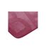 Tapis de Bain Microfibre Relief 45x75cm Framboise-2