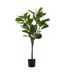 Plante Artificielle en Pot Ficus 129cm Vert & Noir-1
