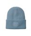 Bonnet Adulte Vieux Bleu Beechfield-1