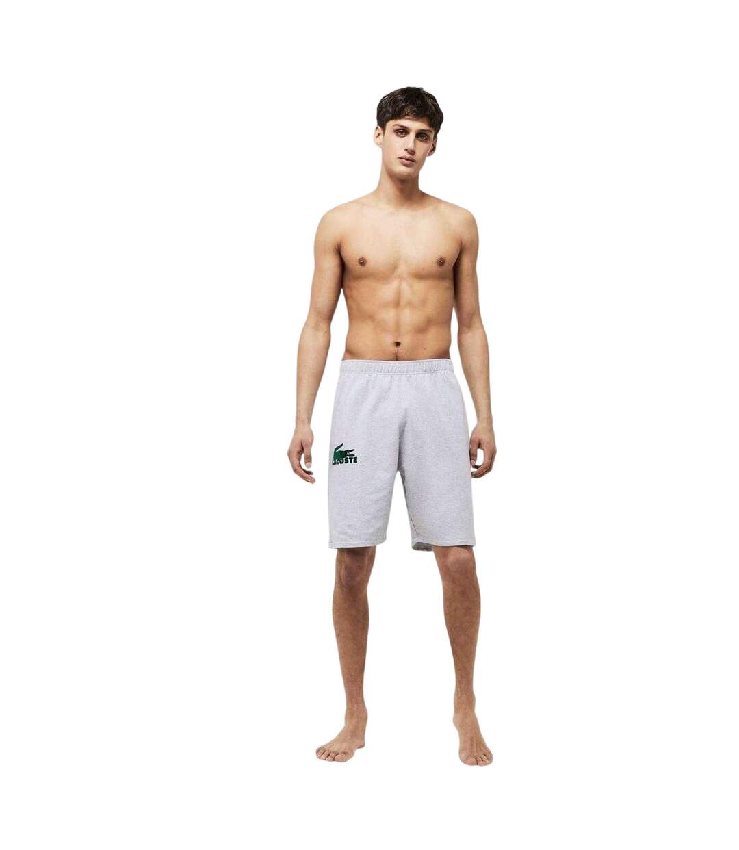 Short Motif/style Logo Bw Homme Gris Lacoste-4
