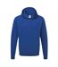 Sweatshirt À Capuche  Pour Homme Bleu Roi Vif Russell-1