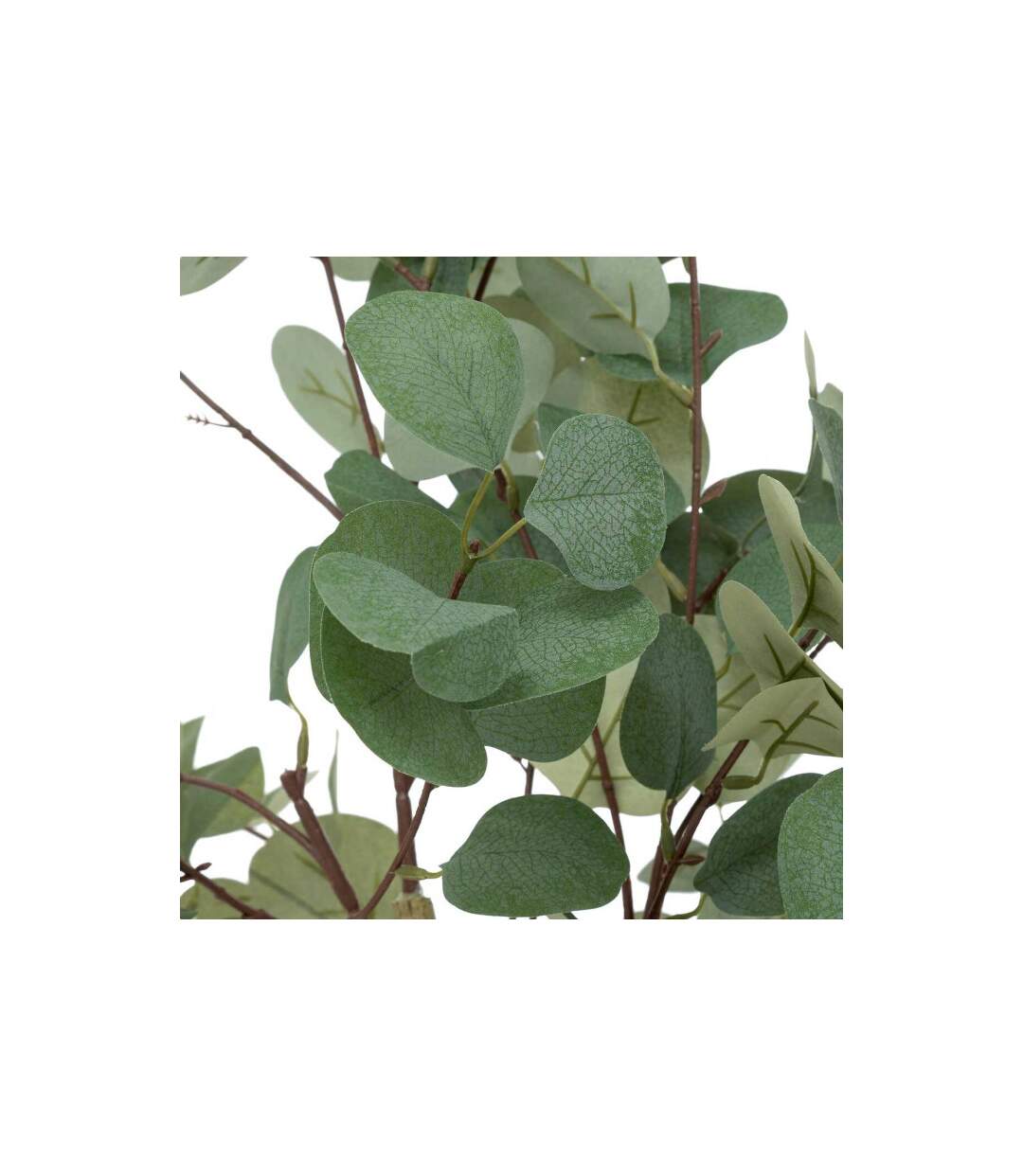 Plante Artificielle Eucalyptus Cony 127cm Vert-2