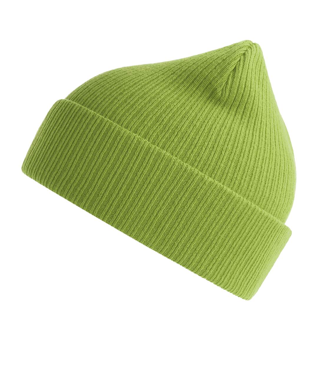 Unisex adult nelson ribbed organic cotton beanie leaf green Atlantis-1
