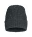 Clique Unisex Adult Milas Beanie (Anthracite Melange)