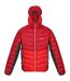 Doudoune harrock homme rouge foncé / rouge sang Regatta-1