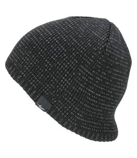 Waterproof Cold Weather Reflective Beanie for Men and Women