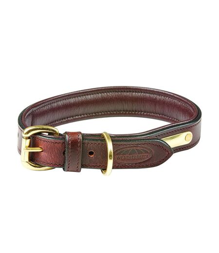 Weatherbeeta Padded Leather Dog Collar (XXL) (Black) - UTWB1258