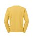 Sweat Homme Jaune Foncé Russell-2