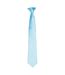 Premier Colours Mens Satin Clip Tie (Turquoise) (One size) - UTRW4407-1