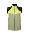 Dare 2B Mens Latitudinal Softshell Vest (Green Algae)