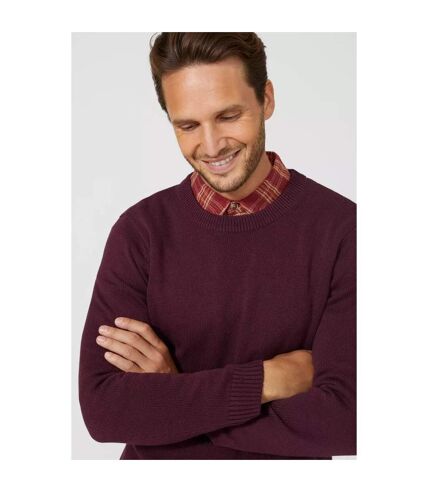 Maine - Pull PREMIUM - Homme (Bordeaux) - UTDH1848