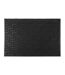 Paillasson Grattoir Antidérapant 40x60cm Noir-1