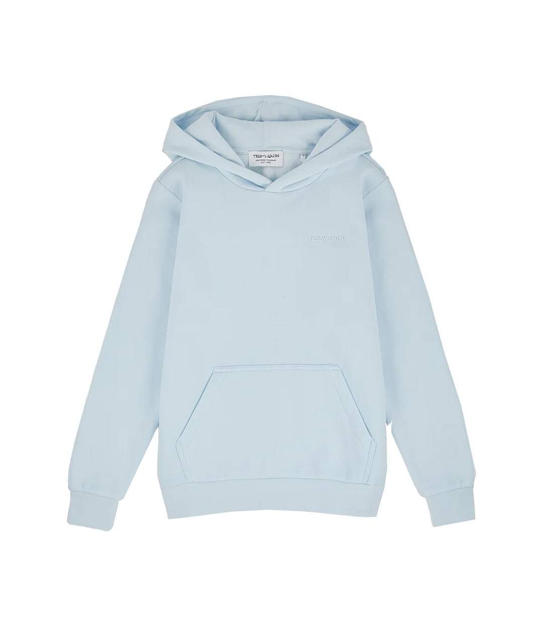 Sweat à Capuche Bleu Clair Homme Teddy Smith nark Hoody - L-1