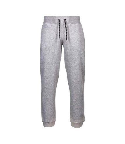 Tee Jays - Pantalon de jogging - Homme (Gris) - UTBC3318