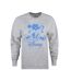 Disney - Sweat - Femme (Gris Chiné) - UTTV497-1