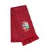 British & Irish Lions Winter Scarf One Size Red Canterbury-2