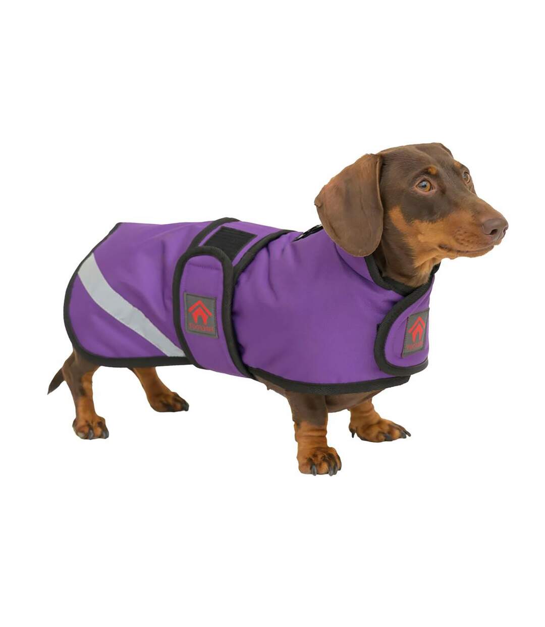 Dachshund fleece lined outdoor dog coat m-16cm purple Firefoot-1