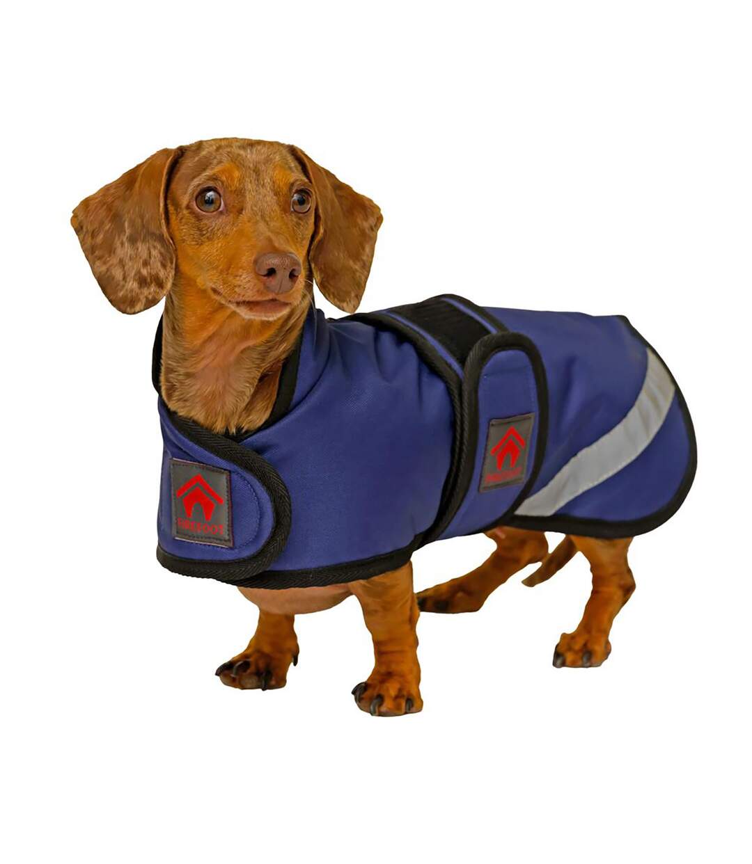 Dachshund fleece lined outdoor dog coat m/l-18cm navy Firefoot-2