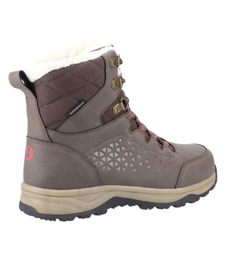 Cotswold Womens/Ladies Burton Leather Hiking Boots (Taupe) - UTFS10086