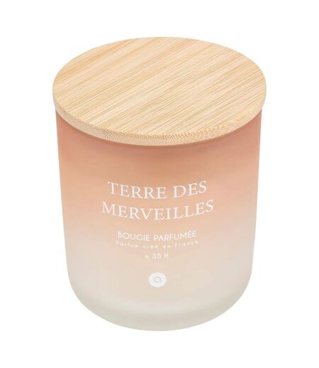 Bougie Parfumée en Verre Sana 255g Terre des Merveilles