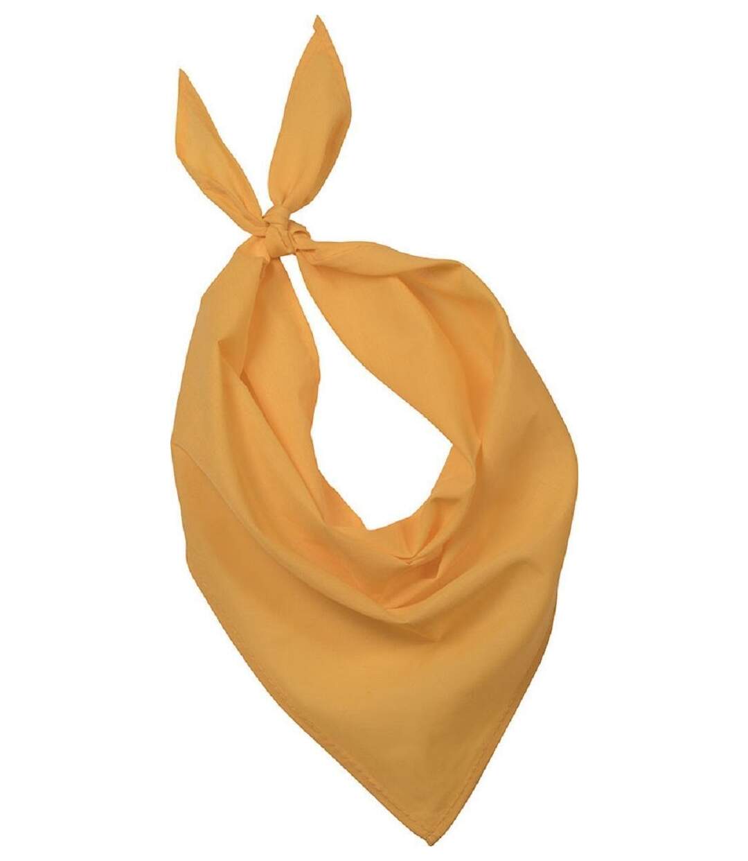 Lot de 10 bandanas fiesta - jaune