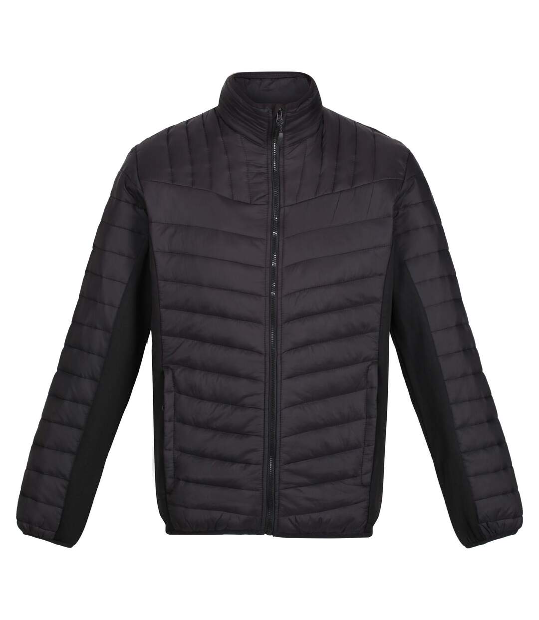 Veste Tourer Homme Noir Regatta-2