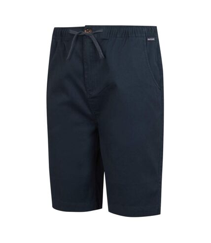 Mens aldan chino shorts navy Regatta