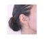 Boucles d'oreilles Tristin Hook - Cristal d'Autriche-2