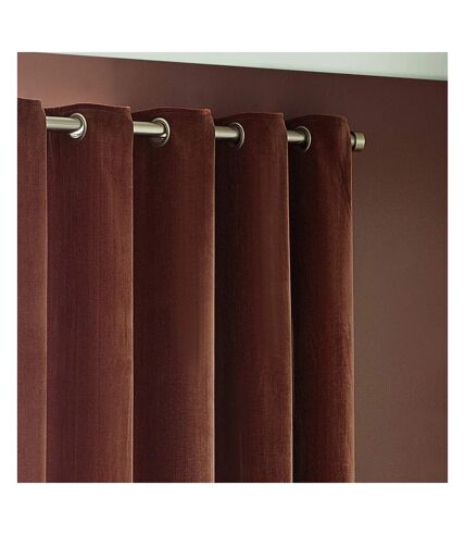 Chenille velvet eyelet curtains 168cm x 183cm nutmeg Yard