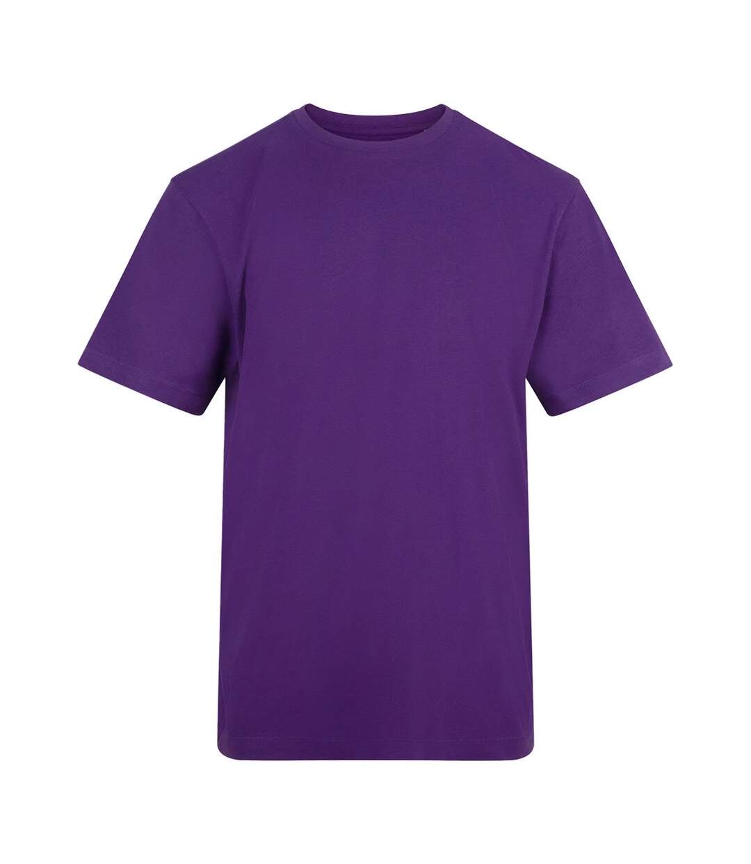 T-shirt Adulte Violet Awdis-1