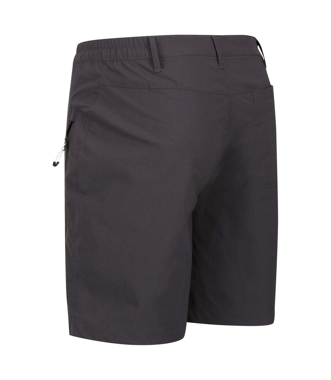 Short De Marche Highton Homme Gris Phoque Regatta-2