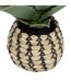 Plante Artificielle Samouraï Pio 26cm Naturel-2