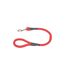 Laisse Ronde pour Chien Essentiel 60cm Rouge