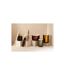Parfum d'Ambiance Excellent 50ml Golden Honey-4