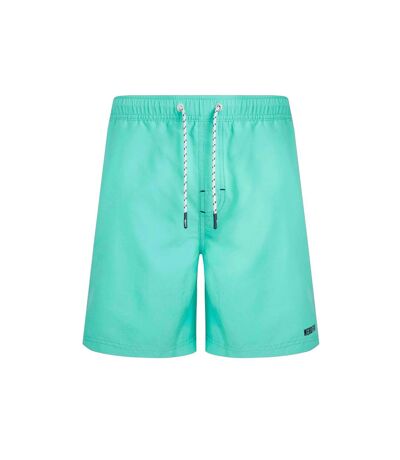 Mens banning recycled polyester eco friendly swim shorts aqua marine Weird Fish