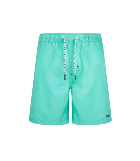 Mens banning recycled polyester eco friendly swim shorts aqua marine Weird Fish