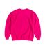 Sweat Dont Dream It Be It Adulte Rose The Rocky Horror Picture Show-2