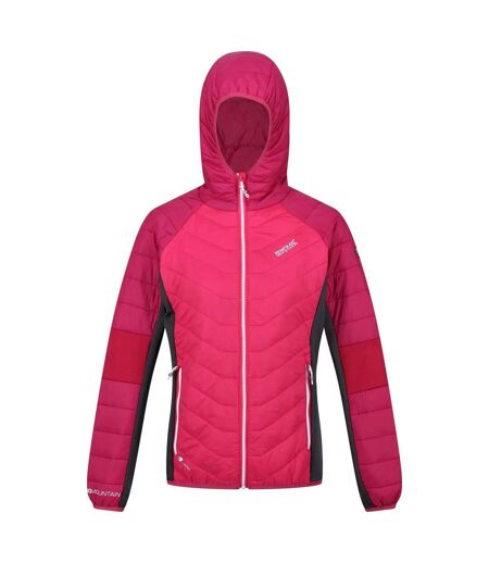 Regatta Womens/Ladies Trutton Lightweight Padded Jacket (Pink Potion/Berry Pink) - UTRG8224