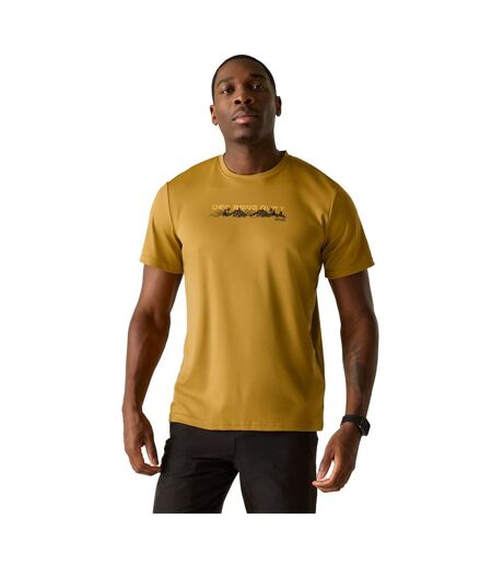 Mens Fingal Slogan Mountain T-shirt Wood Brown Regatta