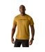 Mens Fingal Slogan Mountain T-shirt Wood Brown Regatta-1