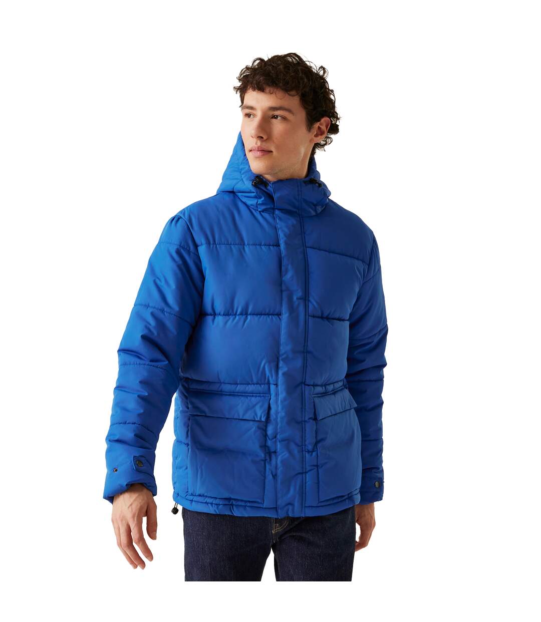 Mens falkner padded jacket olympian blue Regatta