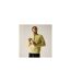 Great Outdoors Mens Montes Funnel Neck Fleece Jumper Desert Beige Regatta-1