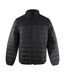 Doudoune Matelassée Motif/style Uni Homme Noir Ice Iceberg-1