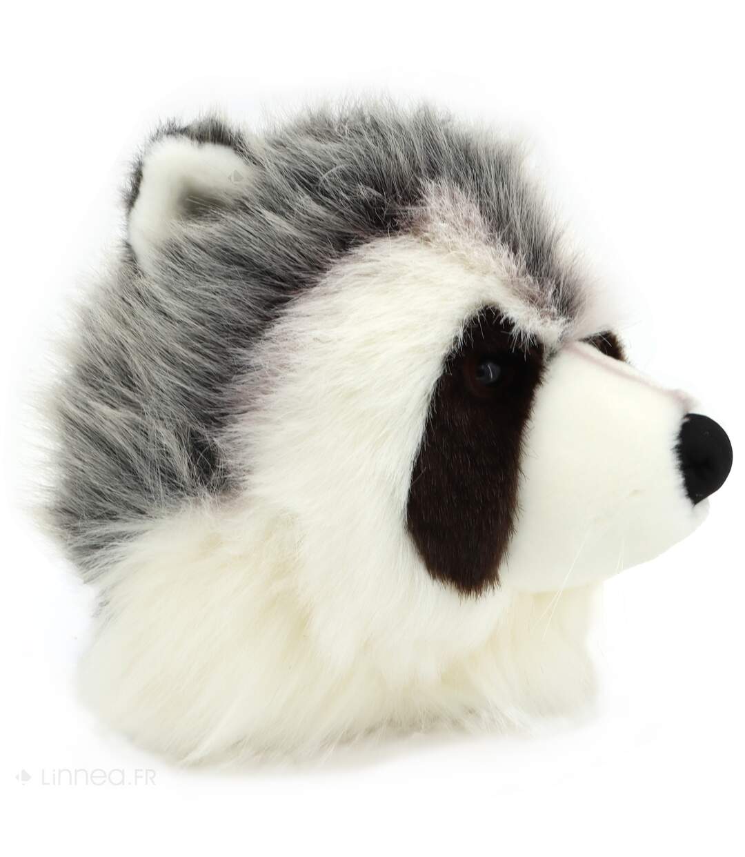 Peluche trophée mural Forêt Raton-laveur Josh-2