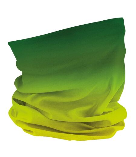 Bandeau Ombré Morf Adulte Vert Beechfield