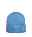 Bonnet Hiver Adulte Bleu Ciel Boss-1