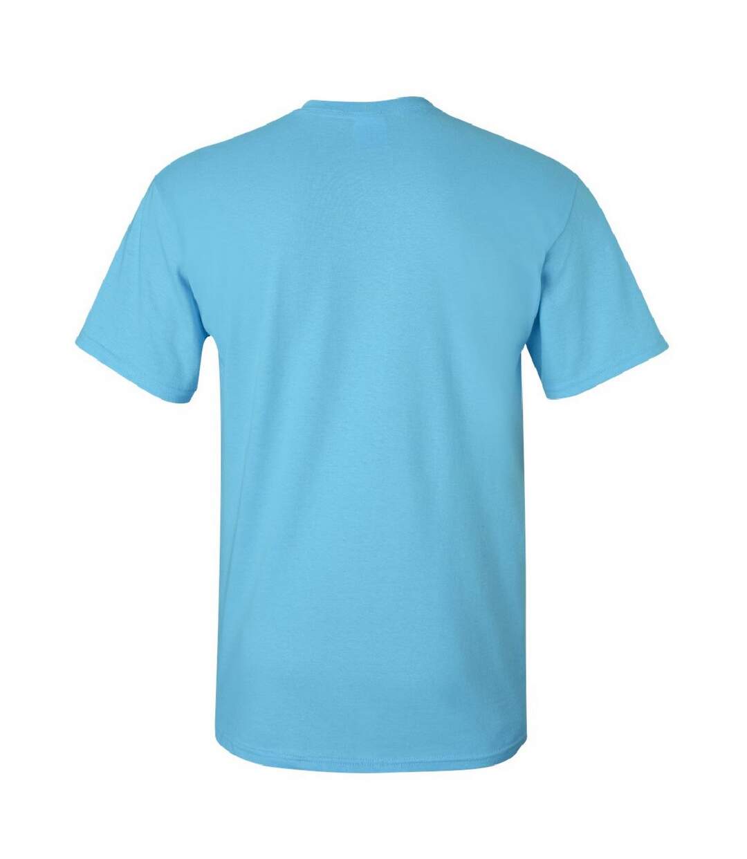 T-shirt à manches courtes homme bleu ciel Gildan