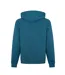 Sweat À Capuche Homme Bleu Marine Foncé Bleu Sarcelle Calvin Klein-2