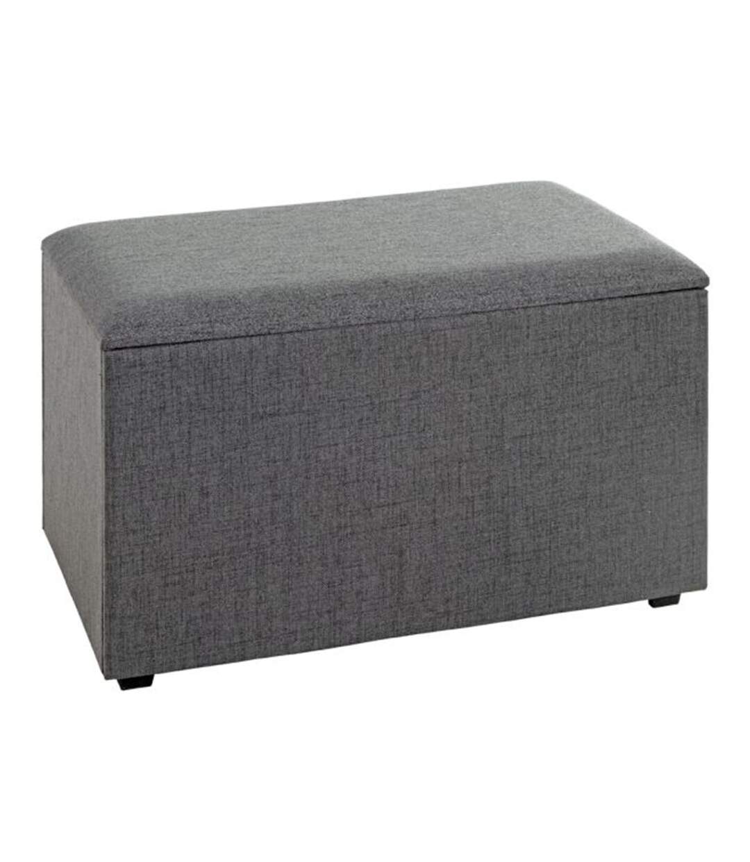 Coffre de Rangement Design Lumyna 65cm Gris-1